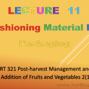 Cushioning Material For Packaging PPT